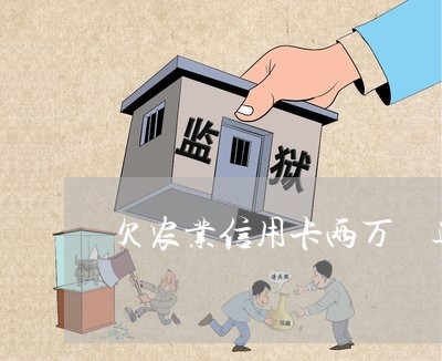 欠农业信用卡两万 逾期